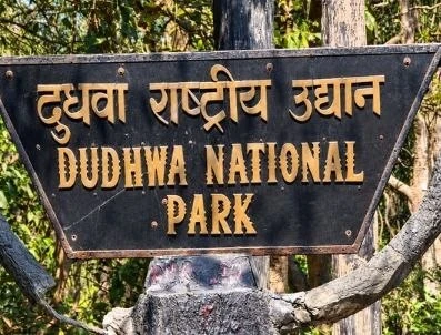 दुधवा नेशनल पार्क 1 नवंबर से खुलेगा, 50वें गोल्डन जुबली सीजन के लिए तैयारियां पूरी